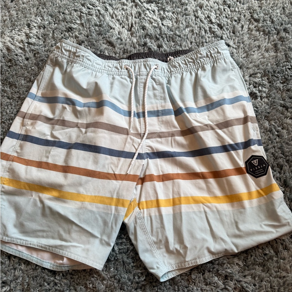 Men's Multicolor Striped Swim Shorts